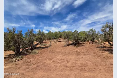 9255 Tonto Road, Snowflake, AZ 85937 - Photo 2