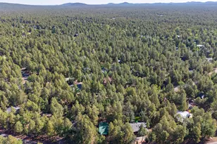 4794 Branding Iron Loop, Pinetop, AZ 85935 - Photo 20
