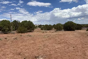 4311 Mountain View Rd, Snowflake, AZ 85937 - Photo 1