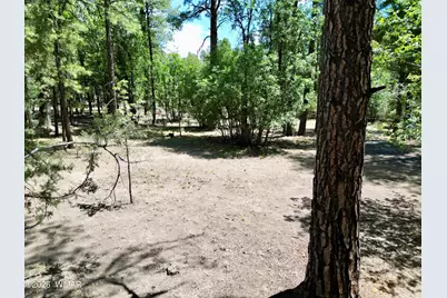6348 Juniper Ridge Road, Show Low, AZ 85901 - Photo 28