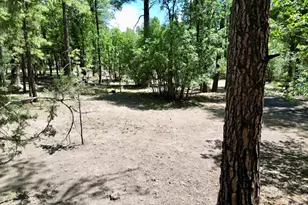 6348 Juniper Ridge Rd, Show Low, AZ 85901 - Photo 28