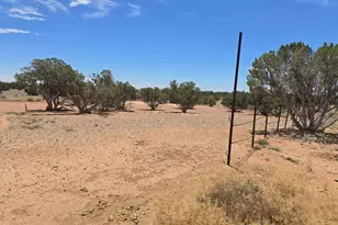 5323 State Route 277, Heber, AZ 85928 - Photo 20