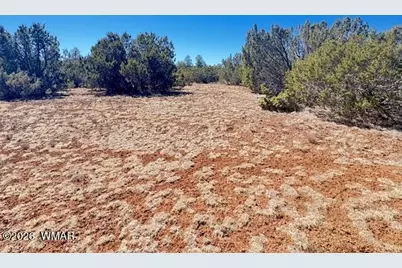 Tbd N3239, Vernon, AZ 85940 - Photo 22
