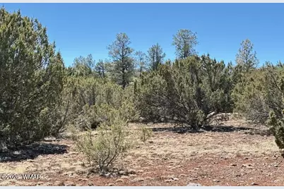 Tbd N3239, Vernon, AZ 85940 - Photo 16