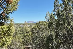 Tbd N3239, Vernon, AZ 85940 - Photo 1