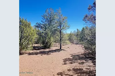 Tbd N3239, Vernon, AZ 85940 - Photo 12
