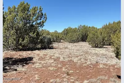 Tbd N3239, Vernon, AZ 85940 - Photo 8