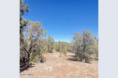 Tbd N3239, Vernon, AZ 85940 - Photo 10