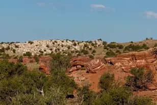 105 County Road N9328, Concho, AZ 85924 - Photo 54