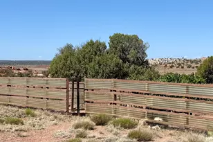 105 County Road N9328, Concho, AZ 85924 - Photo 50