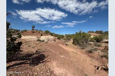 9463 Uttecht Trail, Snowflake, AZ 85937 - Photo 38
