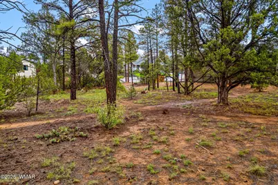 2800 N Eagle View Circle, Show Low, AZ 85901 - Photo 6