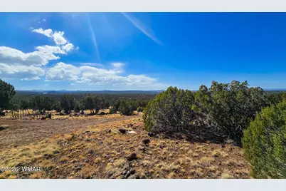Lot 468 Show Low Pines Unit 3, Concho, AZ 85924 - Photo 2