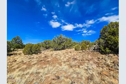 Lot 468 Show Low Pines Unit 3, Concho, AZ 85924 - Photo 4
