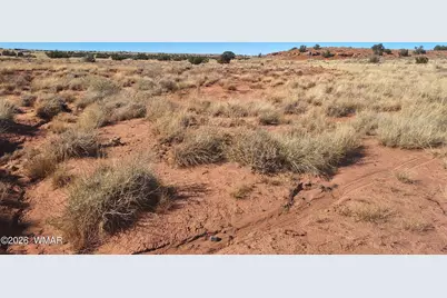8028 Dawn Star Trail, Snowflake, AZ 85937 - Photo 14