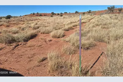 8028 Dawn Star Trail, Snowflake, AZ 85937 - Photo 4