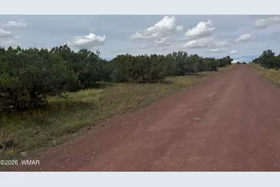 29 N3320, Vernon, AZ 85940 - Photo 6