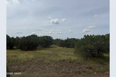 31 N3320, Vernon, AZ 85940 - Photo 4