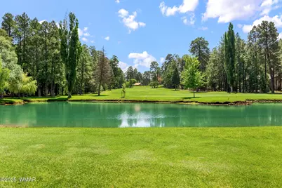 6503 Buck Springs Road, Pinetop, AZ 85935 - Photo 8