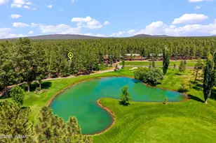 6503 Buck Springs Rd, Pinetop, AZ 85935 - Photo 50