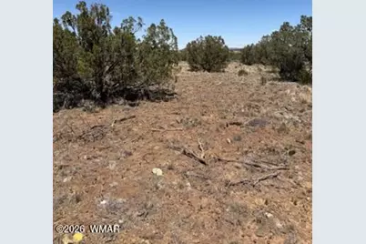 8476 Elkhorn Drive, Show Low, AZ 85901 - Photo 2
