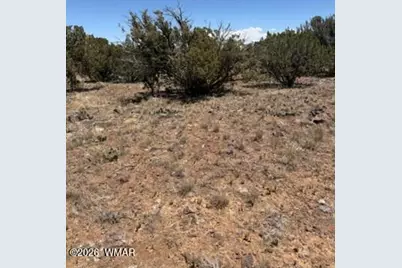 8476 Elkhorn Drive, Show Low, AZ 85901 - Photo 4