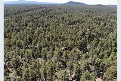 4016 Blue Spruce Drive, Pinetop, AZ 85935 - Photo 6