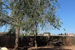 230 W 10th West St, Saint Johns, AZ 85936 - Photo 48
