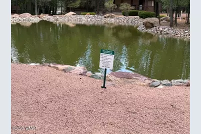 4594 Mountain Gate Circle, Lakeside, AZ 85929 - Photo 38