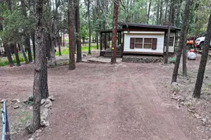 6448 Lower Ridge Dr, Lakeside, AZ 85929 - Photo 22