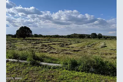 504 E 4th Street, Eagar, AZ 85925 - Photo 6