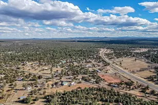 1033 Pine Ridge Dr, Show Low, AZ 85901 - Photo 32