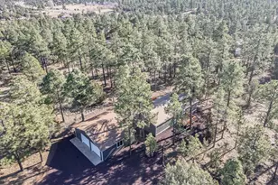 1033 Pine Ridge Dr, Show Low, AZ 85901 - Photo 30