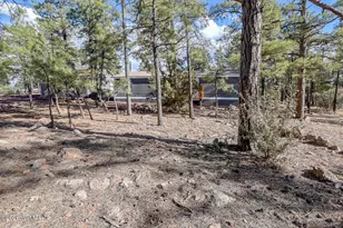 1033 Pine Ridge Dr, Show Low, AZ 85901 - Photo 28