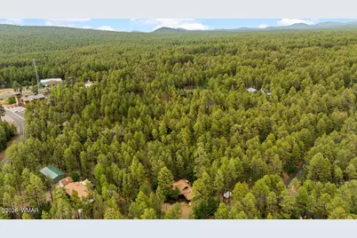 2086 Brown Bear Loop, Pinetop, AZ 85935 - Photo 54