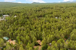 2086 Brown Bear Loop, Pinetop, AZ 85935 - Photo 54