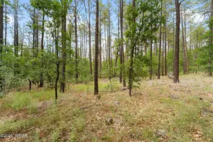 2086 Brown Bear Loop, Pinetop, AZ 85935 - Photo 48