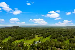 2086 Brown Bear Loop, Pinetop, AZ 85935 - Photo 66