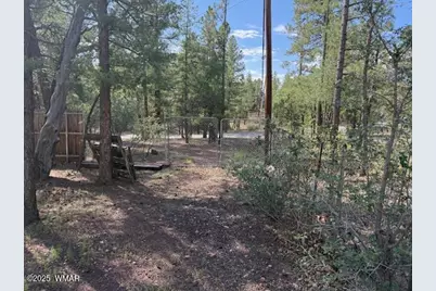 2832 View Way, Lakeside, AZ 85929 - Photo 44