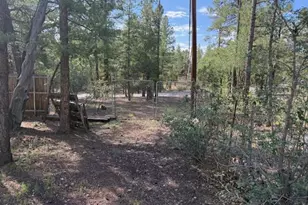 2832 View Way, Lakeside, AZ 85929 - Photo 44