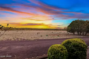 3750 W Pine Mesa Ranch Rd, Show Low, AZ 85901 - Photo 4