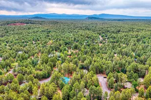 5054 Night Hawk Loop, Pinetop, AZ 85935 - Photo 26