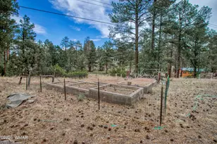 1101 N 27th Ave, Show Low, AZ 85901 - Photo 26