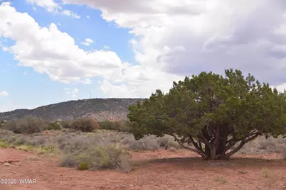 4582 El Dorado Road, Snowflake, AZ 85937 - Photo 4