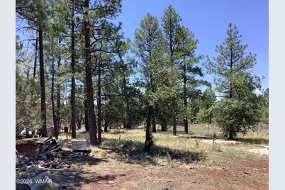 1421 Zola Street, Lakeside, AZ 85929 - Photo 2