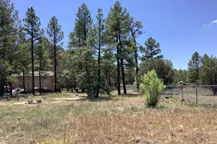 1421 Zola St, Lakeside, AZ 85929 - Photo 1