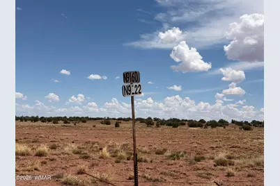 20 N 9160, Concho, AZ 85924 - Photo 4