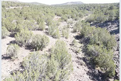 50 County Road 3190, Vernon, AZ 85940 - Photo 2