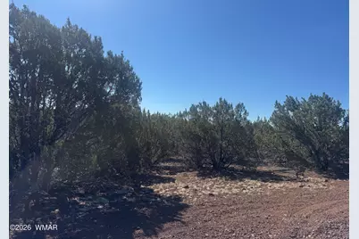50 County Road 3190, Vernon, AZ 85940 - Photo 4