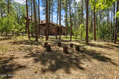 2742 Pine Wood Lane, Pinetop, AZ 85935 - Photo 30